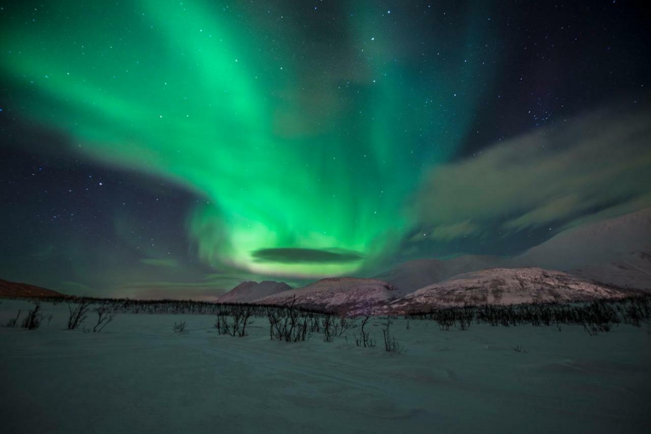 Nord-Lenangen Lyngen Experience Apartments المظهر الخارجي الصورة